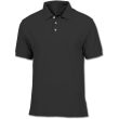 polo_fume_2025.jpg